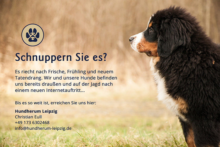 Hundherum Leipzig temporäre Website
