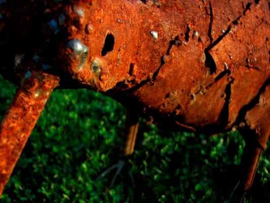 New Zealand Metall-Kiwi
