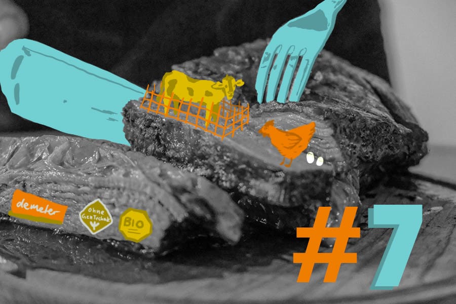 Zusammenfassung nach einem Monat „Fleischkonsum und Klimawandel“